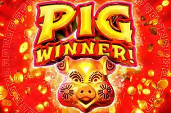 PIG WINNER?v=6.0