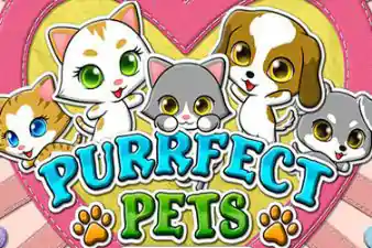 PURRFECT PETS?v=6.0